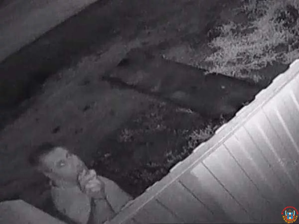 В Ростовской области мужчина травит соседских собак