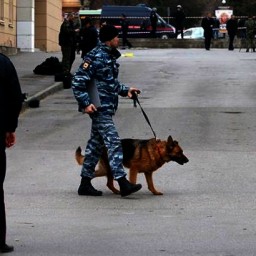 Девять судов «заминировали» в Ростове 4 февраля