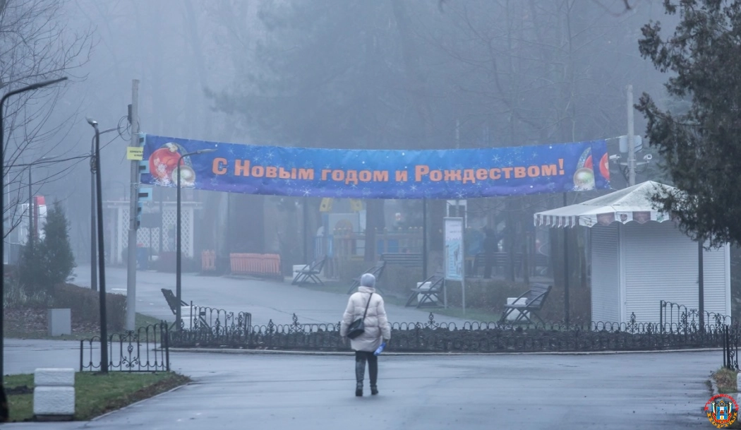 Климатолог высказался об отсутствии снега в Ростовской области