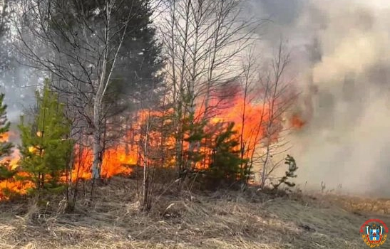 На Дону 13 муниципалитетов остаются в зоне риска возникновения пожаров