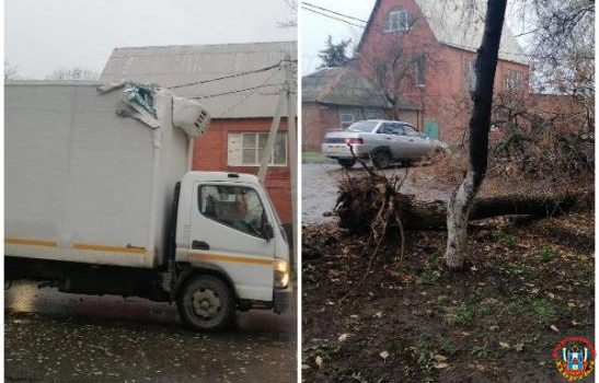 В Ростове на Западном водитель грузовика повалил дерево