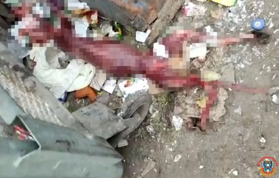 В Шахтах живодеры содрали с собаки шкуру, отрезали уши и выбросили на мусорку