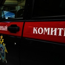 Жителя Батайска осудили на восемь лет за жестокое убийство сожительницы
