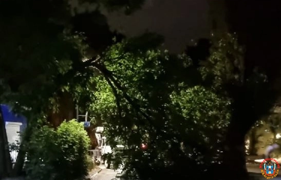 На Таганрогской в Ростове упавшее дерево перекрыло проезд и оборвало провода