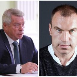 Ростовский политолог: «Губернатор Голубев «заразился» «фейком»