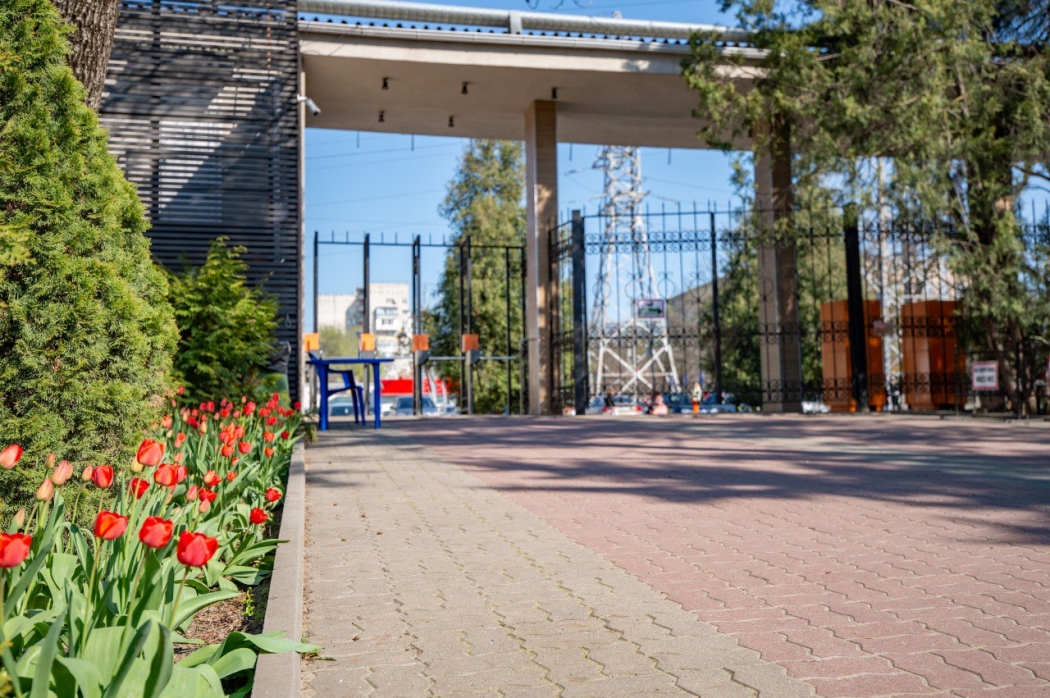 Ростовский зоопарк открыл пункт сбора помощи для зоосадов Донбасса