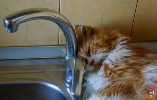 В Нахичевани отключат холодную воду на сутки