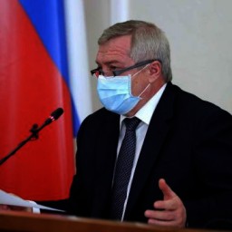 Василий Голубев заявил об очередном снятии ограничений на Дону