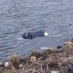 Труп молодого мужчины принесло течением к отдыхающим на берегу Дона в Ростовской области