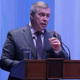 Активных и креативных депутатов не хватает в парламенте Ростовской области