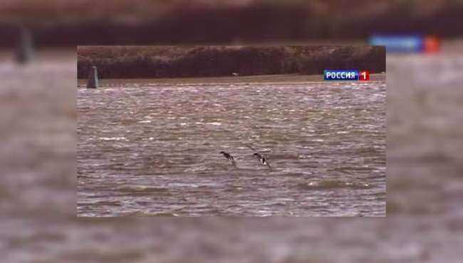 В Ростове спасли двух подростков, которые едва не утонули в Дону