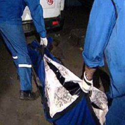 Женщина мучительно погибла под колесами ЗИЛа на вечерней трассе под Ростовом