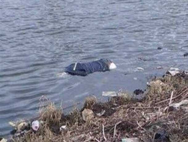 Труп молодого мужчины принесло течением к отдыхающим на берегу Дона в Ростовской области Труп молодого мужчины принесло течением к отдыхающим на берегу Дона в Ростовской области