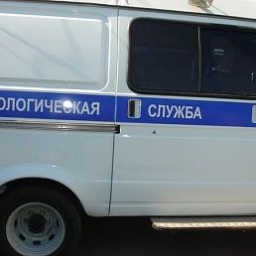 Новошахтинского полицейского обматерили ровно на пять тысяч рублей