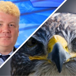 Ростовский депутат Госдумы от «Единой России» занялся соколиной охотой