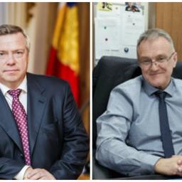 Губернатор Ростовской области раскритиковал работу и. о. главы Минздрава