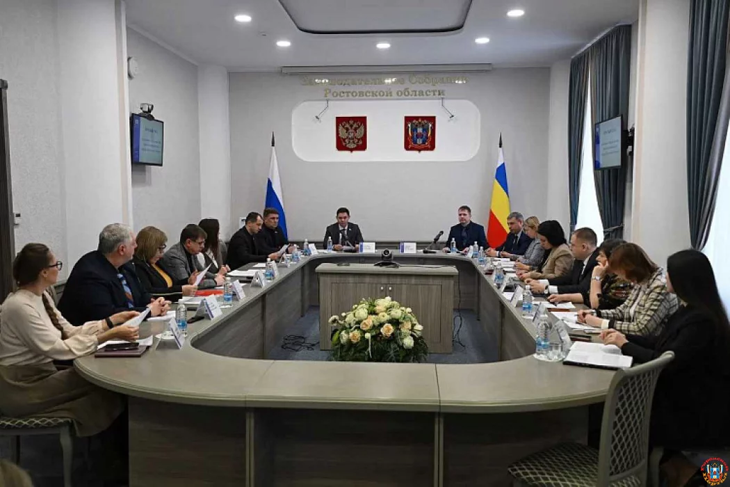 Правовая поддержка в донском регионе: охвачено 11 тысяч обращений, приоритет &mdash; участникам СВО и малоимущим