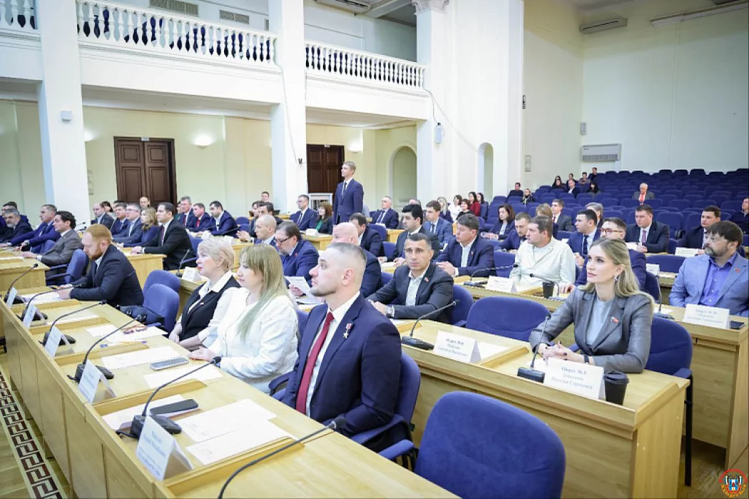 Ростовская-на-Дону городская дума расширила состав общественной палаты и учредила наблюдательный совет
