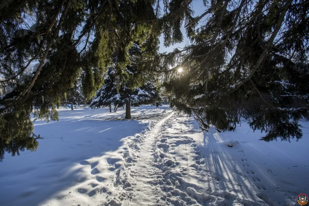 Весна посреди зимы: 15 февраля Ростовскую область накроет волна субтропического тепла