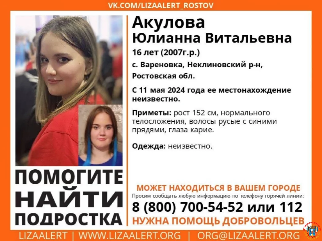 16-летнюю девочку ищут в Ростовской области