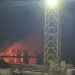 На Зеленом острове в Ростове потушили пожар