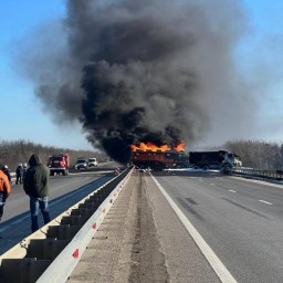 Водитель бензовоза сгорел заживо после ДТП с грузовиком в Ростовской области