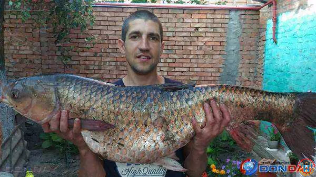 В Ростове-на-Дону рыбак поймал амура длиной почти полтора метра