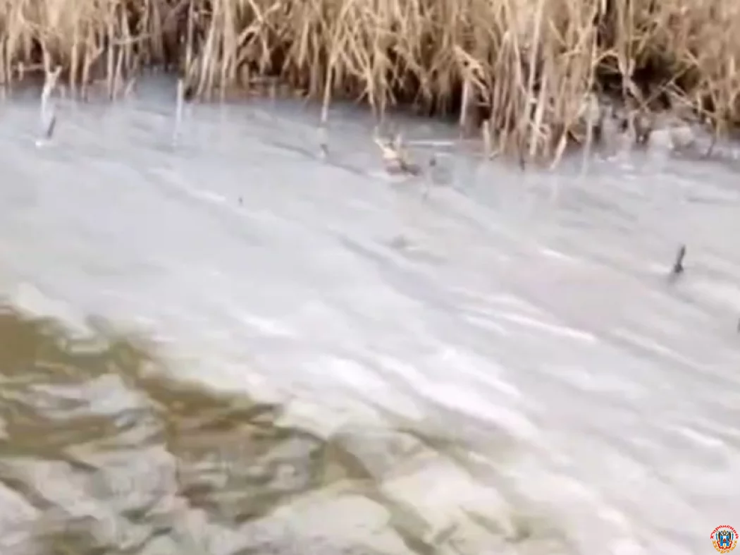 Жители Волгодонска бьют тревогу из-за сброса неизвестных стоков в Мокро-Соленовскую балку