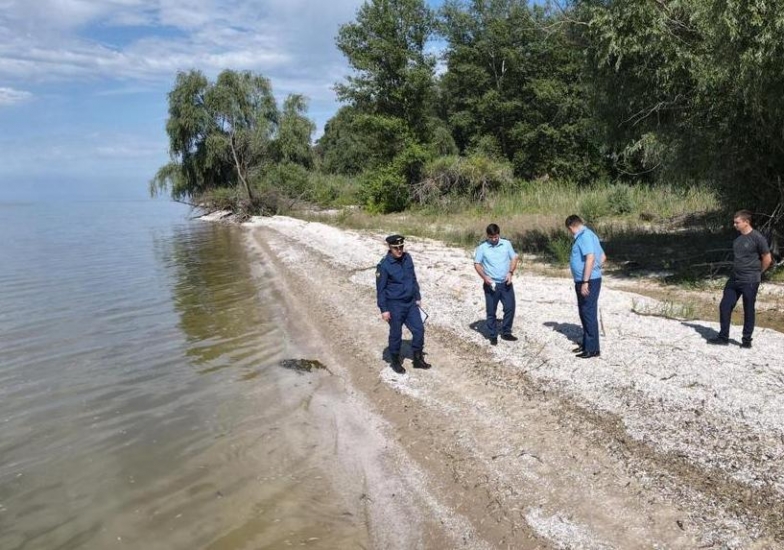 Прокуратура заинтересовалась делом о массовой гибели рыбы в Цимлянском водохранилище