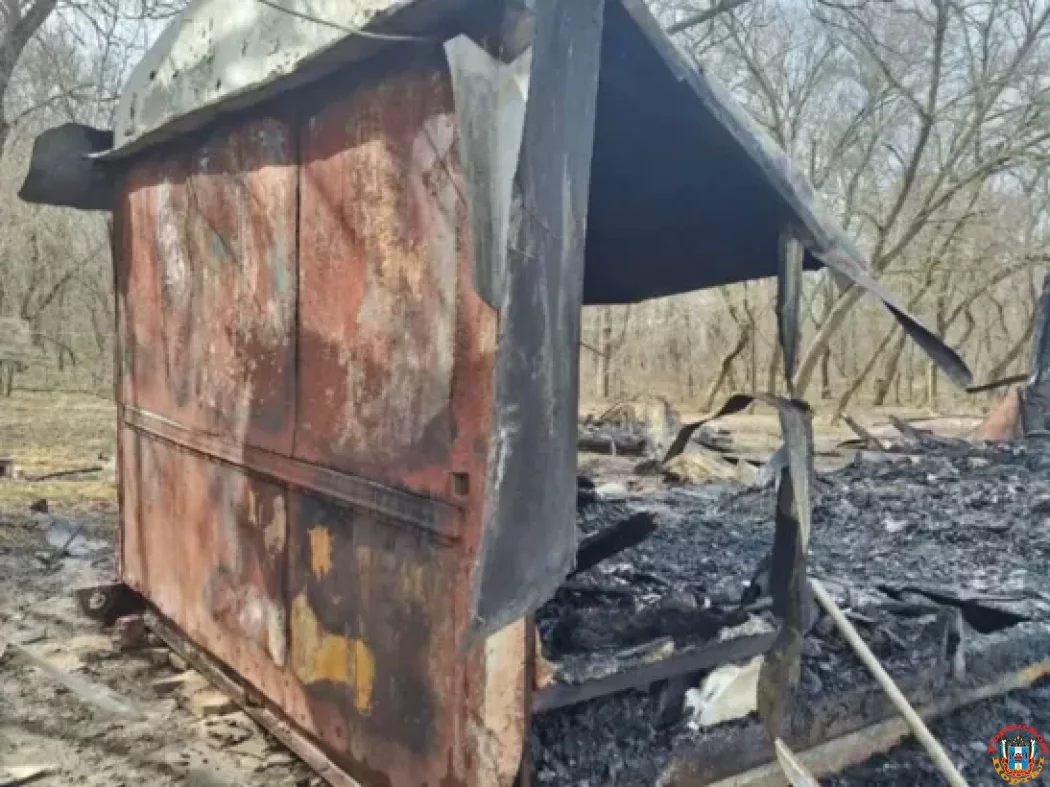 48-летняя женщина сгорела заживо при пожаре в Ростовской области
