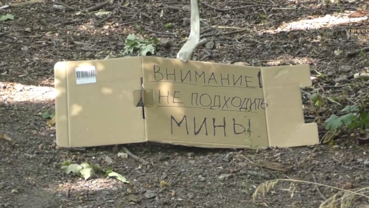 В ДНР на украинских минах "Лепесток" подорвались уже 11 человек