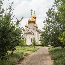 Благоустройством парка имени 8 марта в Ростове-на-Дону займется сын депутата ЗСРО