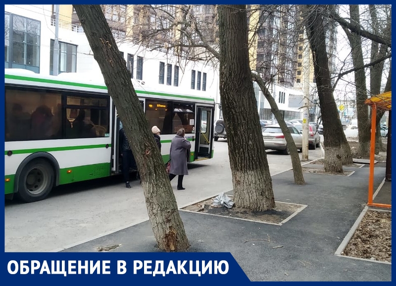 Дорожники закатали в асфальт деревья в Ворошиловском районе Ростова