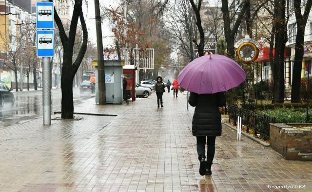 Синоптики рассказали, когда в Ростовской области перестанут лить дожди