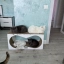 Владельцы сгоревшего котокафе в Ростове обустроили приют для животных в собственном доме 2