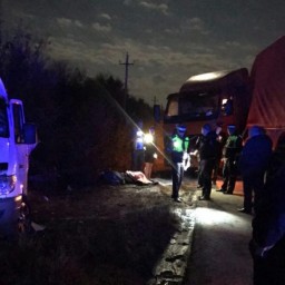 Два человека погибли в ДТП с микроавтобусом в Ростовской области