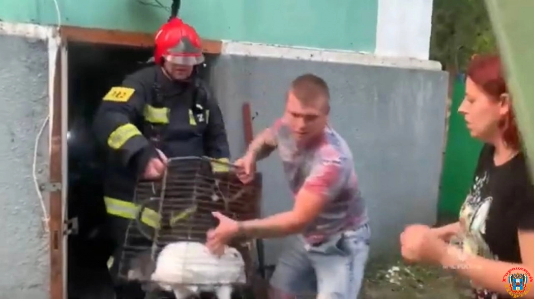 Пожарные спасли всех животных из горящего зоопарке в Ростове