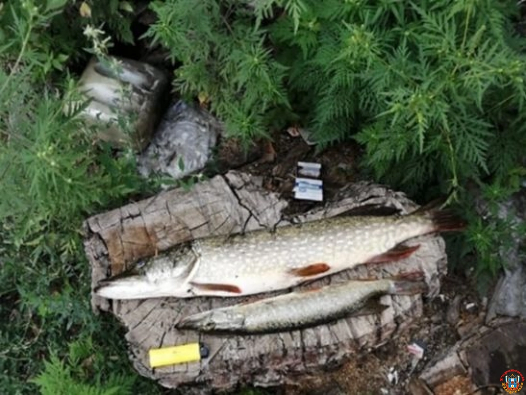 В трех рыбхозяйствах Ростовской области выявили зараженных опасными болезнями рыб