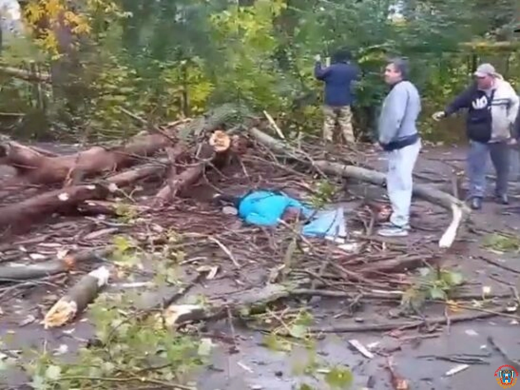 Женщину убило упавшим деревом в Гуково