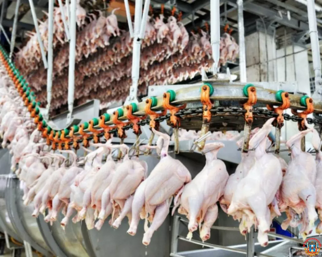 Гендиректор ростовского колбасного завода назвал причину роста цен на курицу