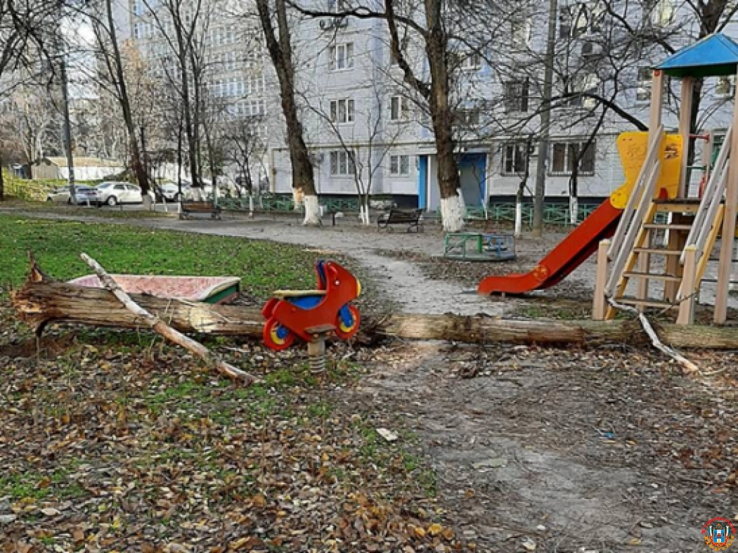 В центре Ростова на детскую площадку обрушилось огромное аварийное дерево