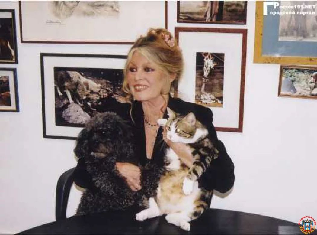 Бриджит Бардо против Эммануэля Макрона