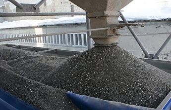 В Ростовской области выявили более 14 тысяч тонн подсолнечника с амброзией