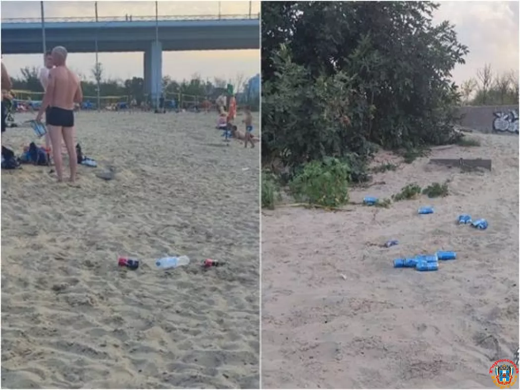 Ростовчане возмущены состоянием городского пляжа на левом берегу Дона