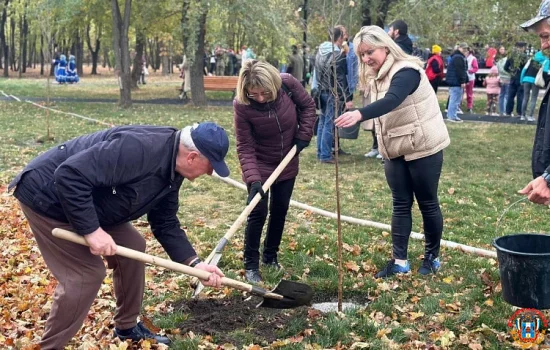 18 октября пройдет масштабный субботник в Ростовской области