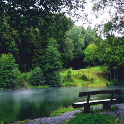 Чиновники решили взять Ростов в зеленое кольцо