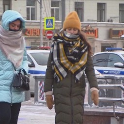 Тепло и сыро: до выходных Москва проживет под хмурым небом