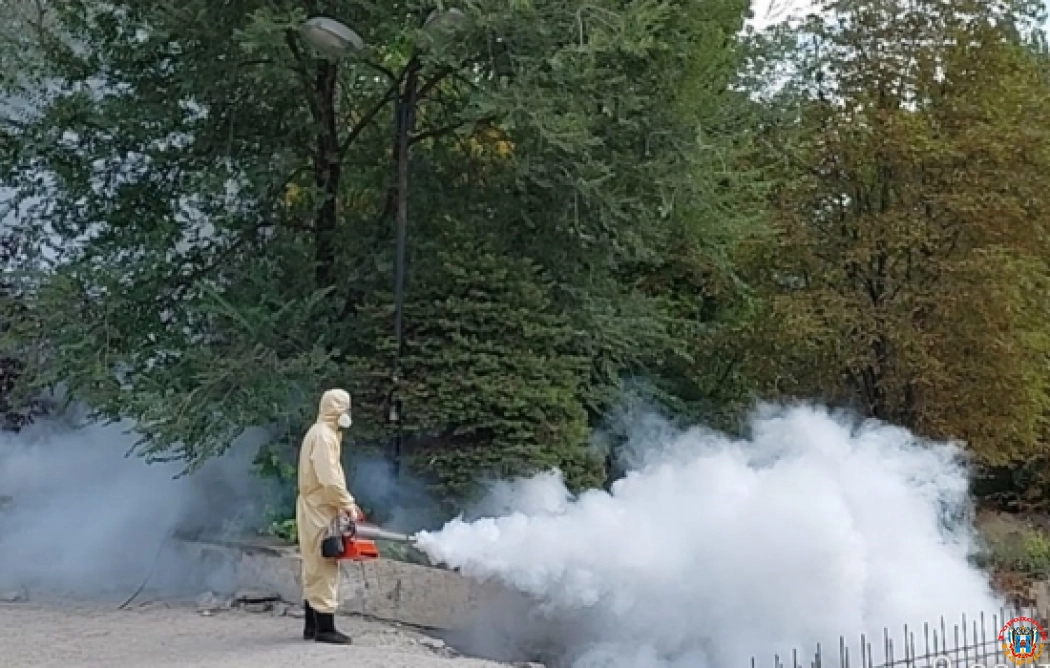 Клещей в парках Ростова начали уничтожать при помощи «горячего тумана»