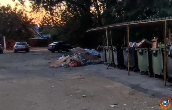 На входе в парк Чуковского в Ростове образовалась зловонная мусорная свалка
