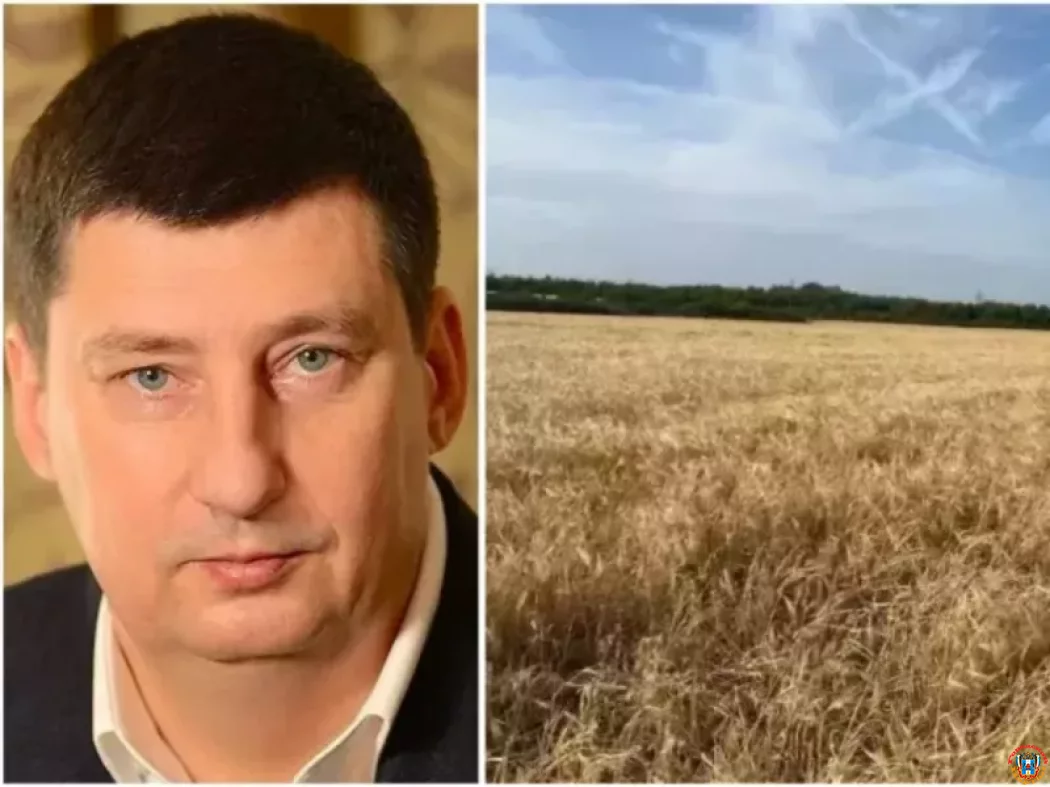 От национализации к продаже: активы зернового гиганта &laquo;Родные поля&raquo; выставят на торги до 2028 года